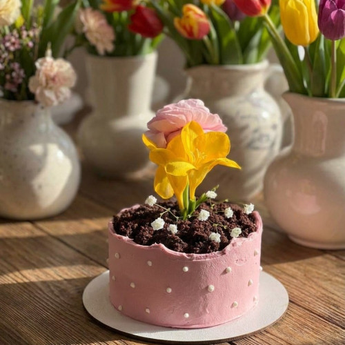 Торт Флорис маленький